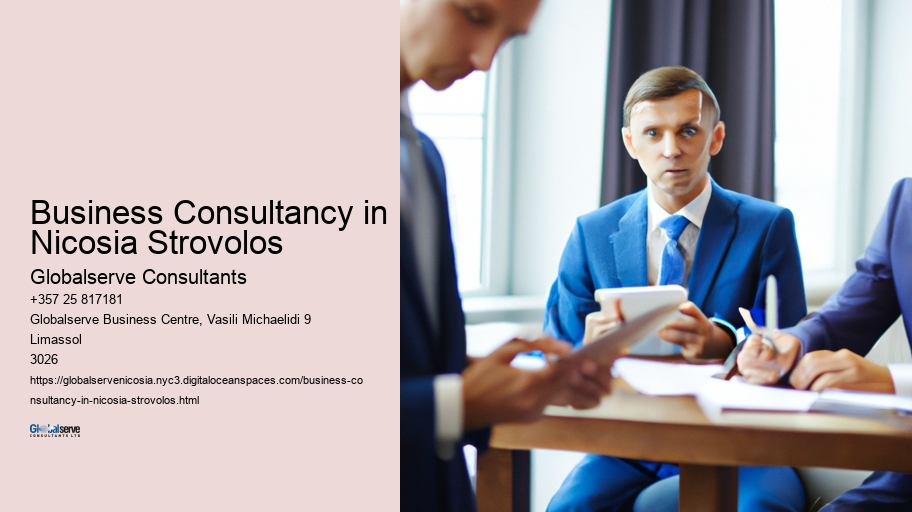 Business Consultancy in Nicosia Strovolos