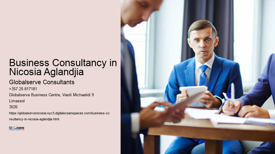 Business Consultancy in Nicosia Aglandjia