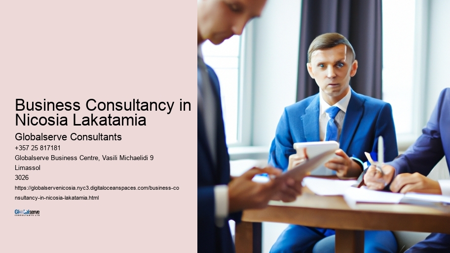 Business Consultancy in Nicosia Lakatamia