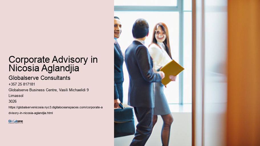 Corporate Advisory in Nicosia Aglandjia